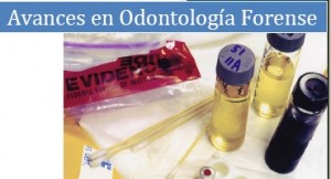 Curso sobre avances odontologia forense