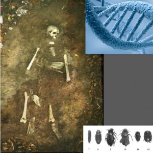 Curso de Antropologia forense